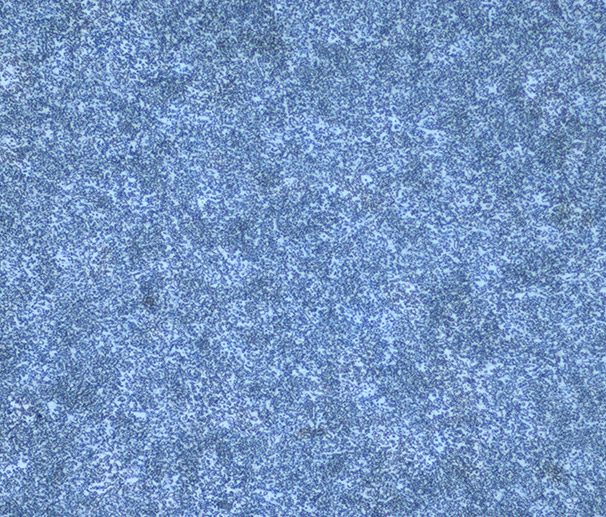 GCr15- Before pressure tempering